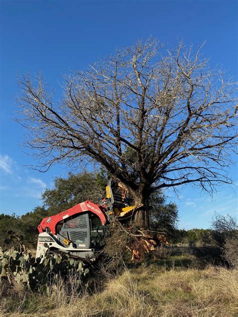 alamo land clearing